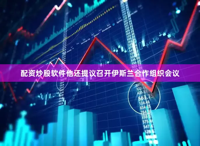 配资炒股软件他还提议召开伊斯兰合作组织会议