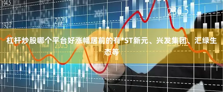 杠杆炒股哪个平台好涨幅居前的有*ST新元、兴发集团、汇绿生态等