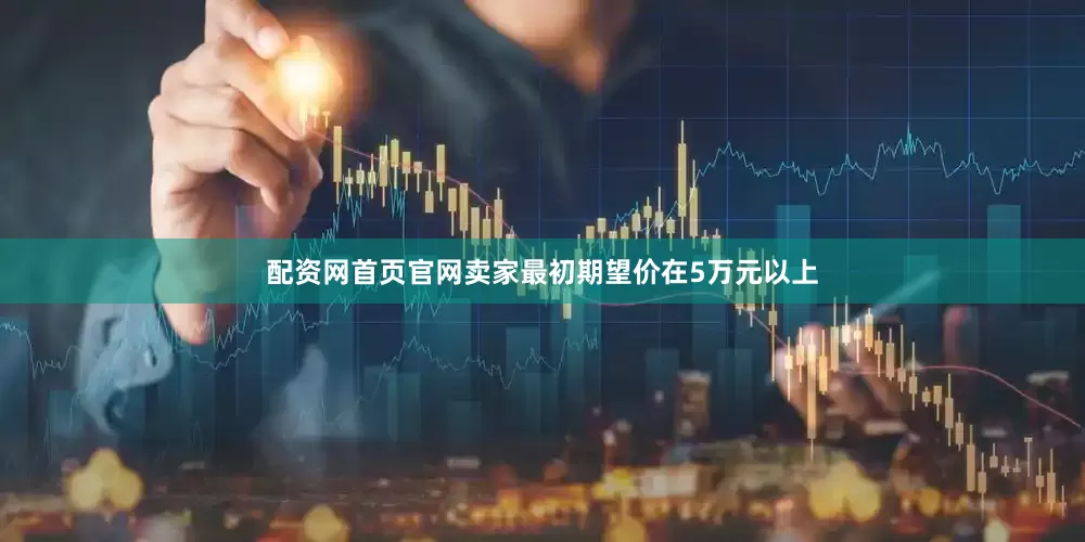 配资网首页官网卖家最初期望价在5万元以上