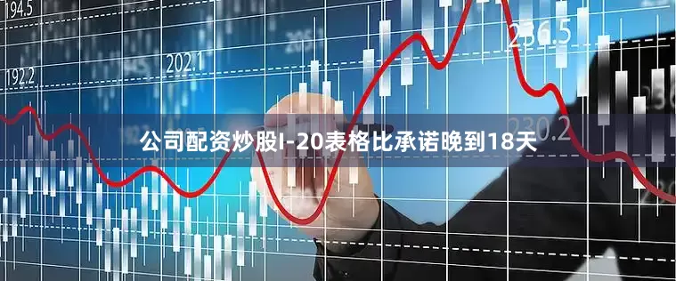 公司配资炒股I-20表格比承诺晚到18天