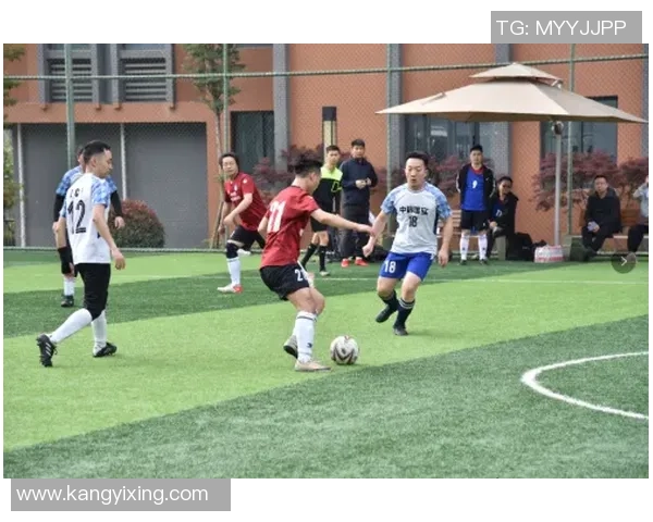 重庆羽毛球队的精神风貌与发展历程探讨