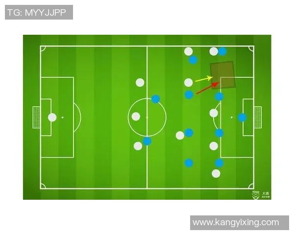 深入分析武汉排球队的防守策略与战术执行细节